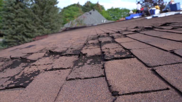 Best Metal Roofing Installation  in Pemberwick, CT